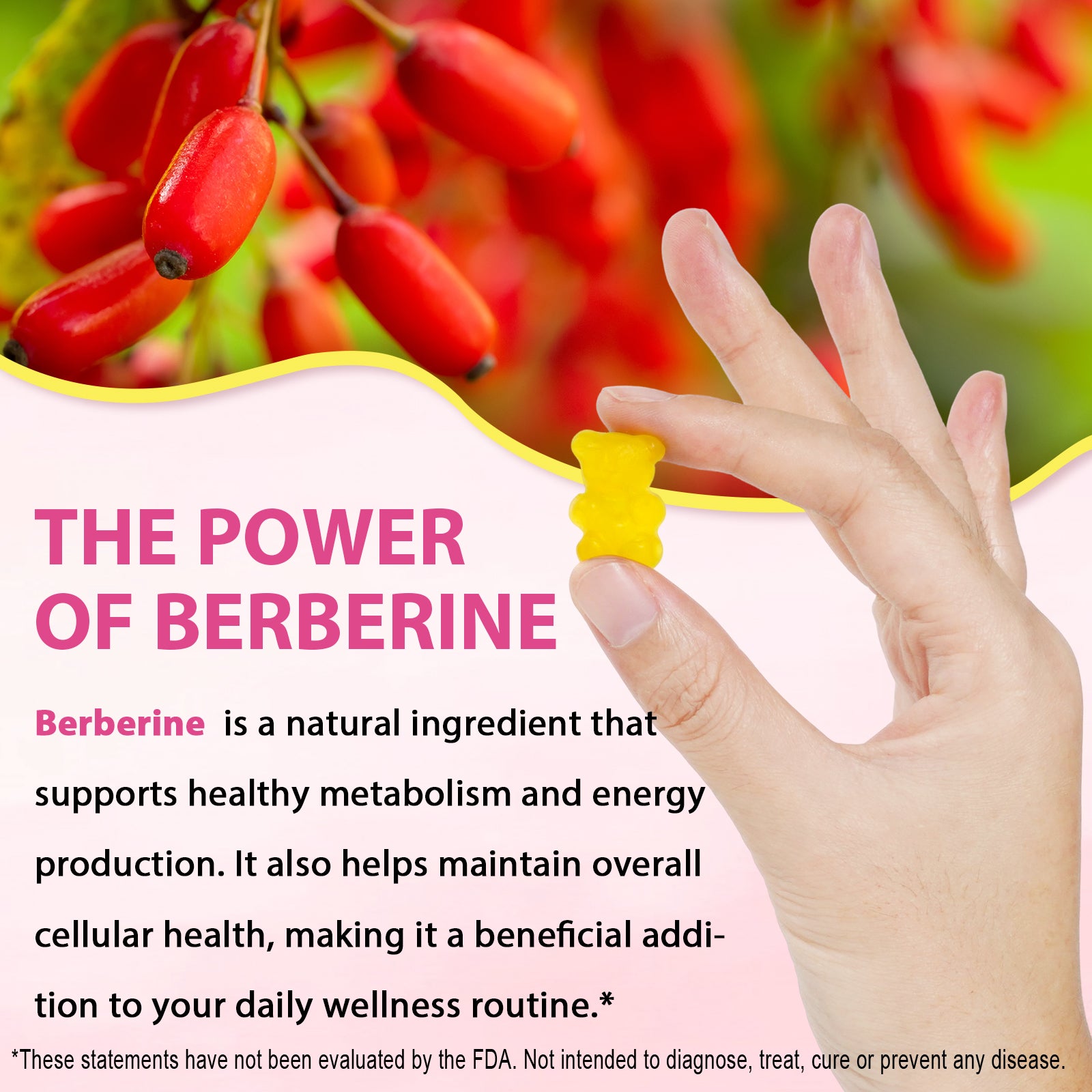 acentiallabs GLP-1  5 FORCE SYNERGY GUMMIES AKKERMANSIA MUCINIPHILA FOR MAXIMUM ABSORPTION Bottled Gummies