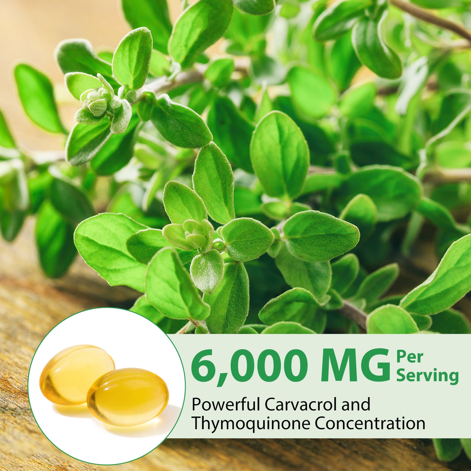 acentiallabs WILD OREGANO OIL WITH BLACK SEED OIL 120 SOFTGELS Bagged Capsules