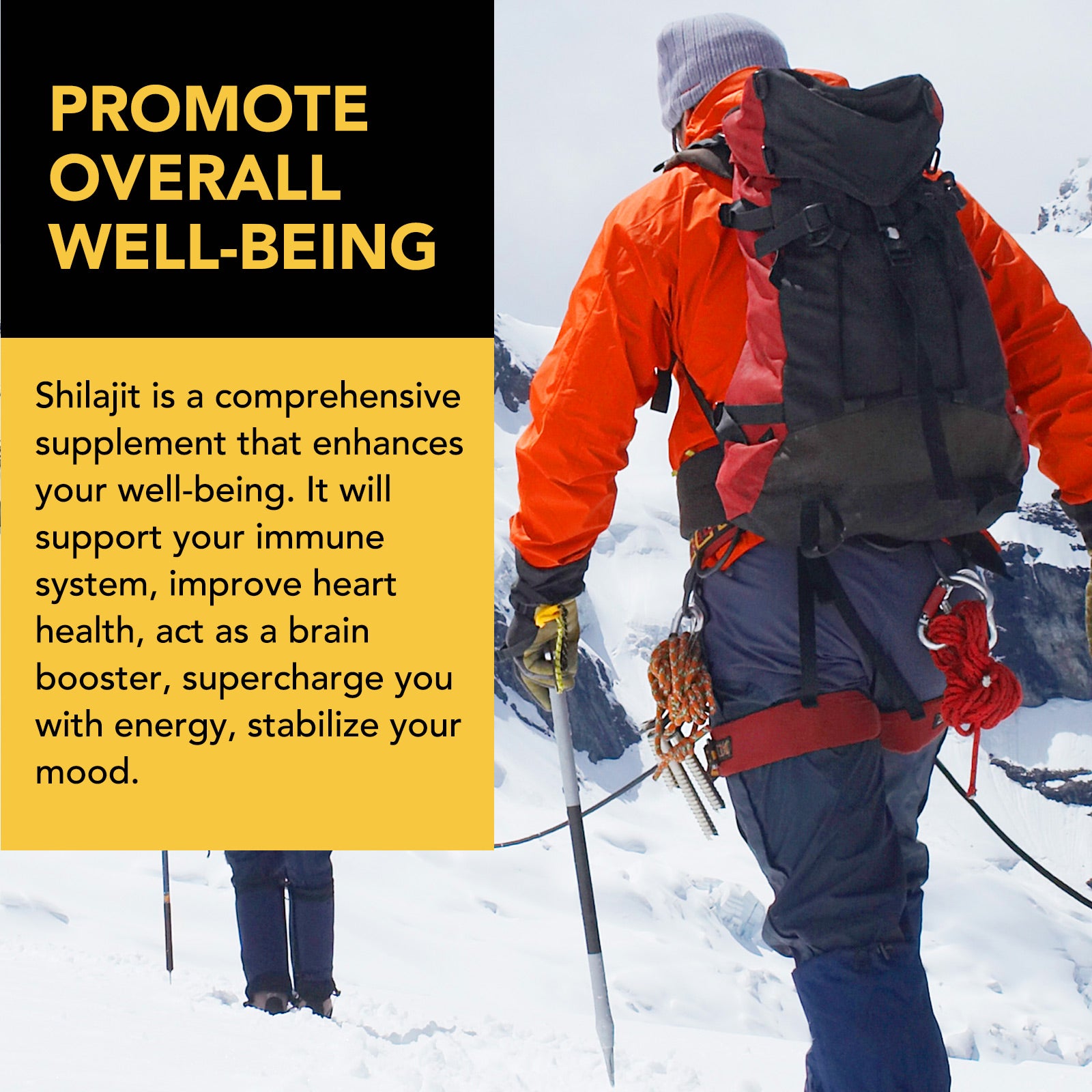 acentiallabs Shilajit LIOUID DROPS NATURE'S ENDURANCE BOOST 60ML Liquid Drops