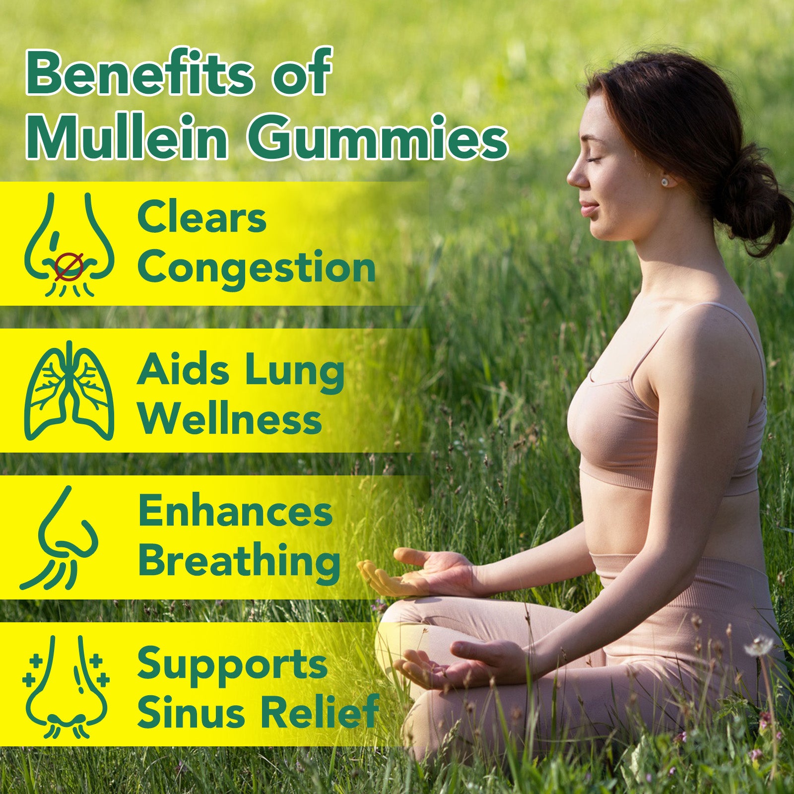acentiallabs MULLEIN GUMMIES 2000MG PER SERVING 60 GUMMIES Bagged Gummies