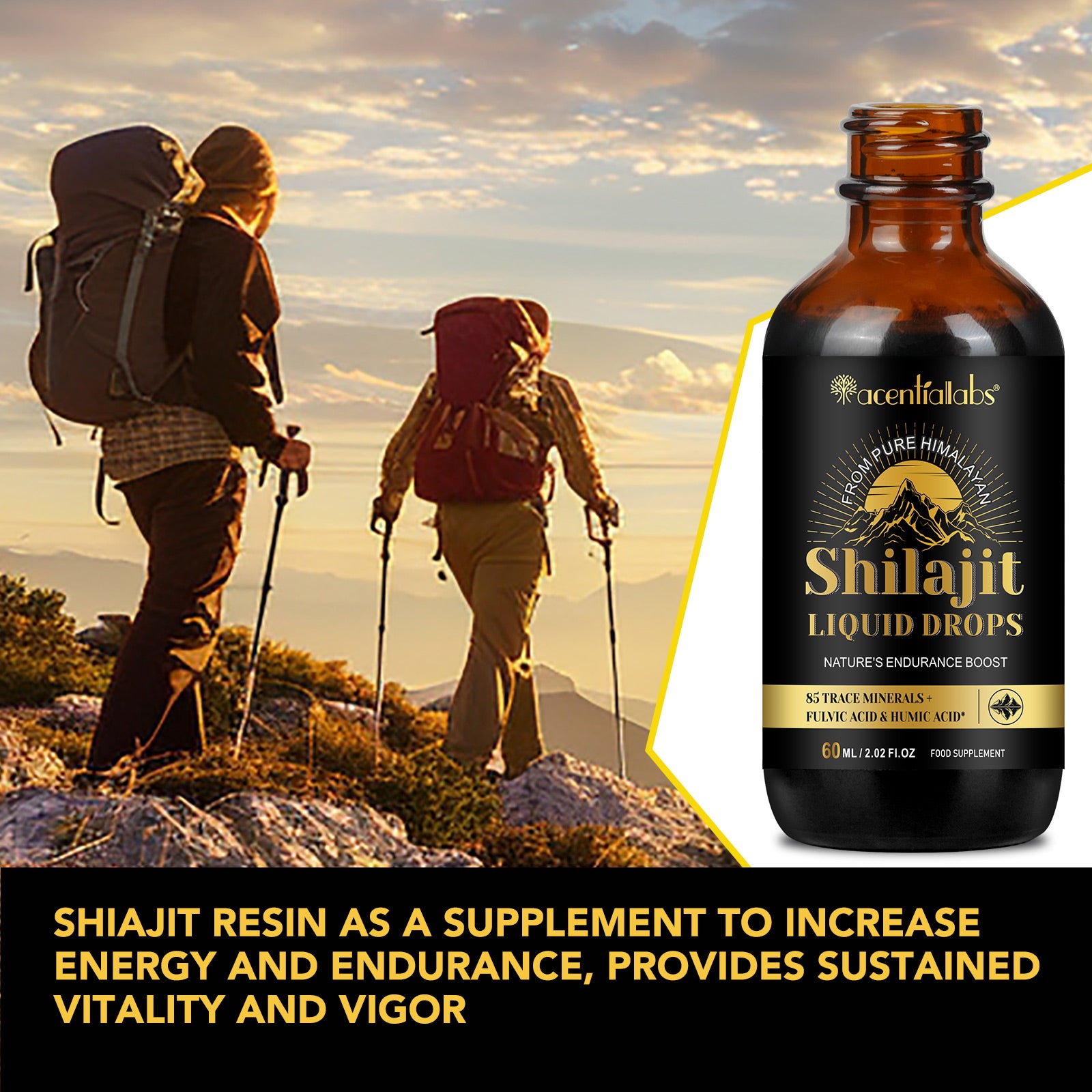 acentiallabs Shilajit LIOUID DROPS NATURE'S ENDURANCE BOOST 60ML Liquid Drops