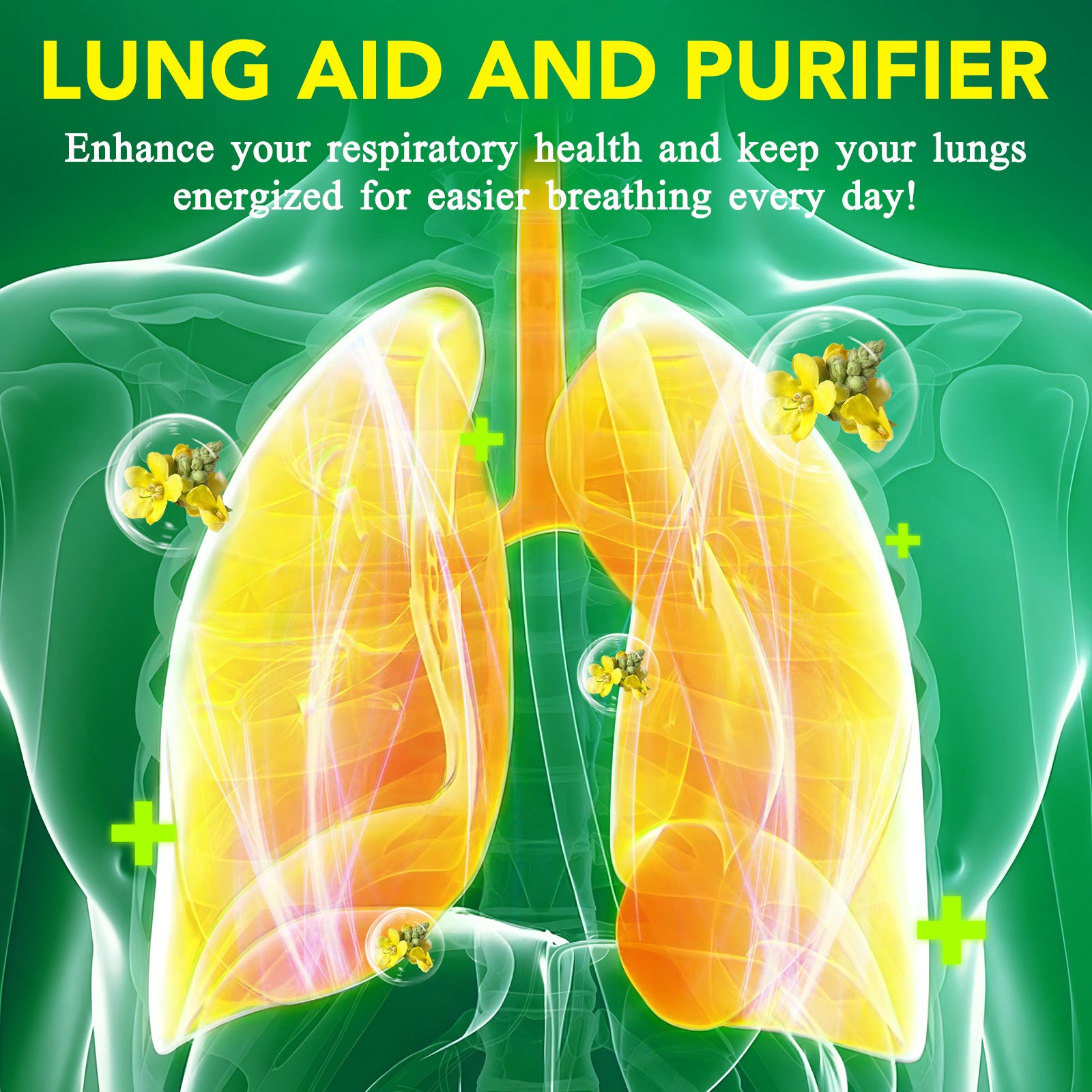 acentiallabs MULLEIN GUMMIES 2000MG PER SERVING 60 GUMMIES Bagged Gummies