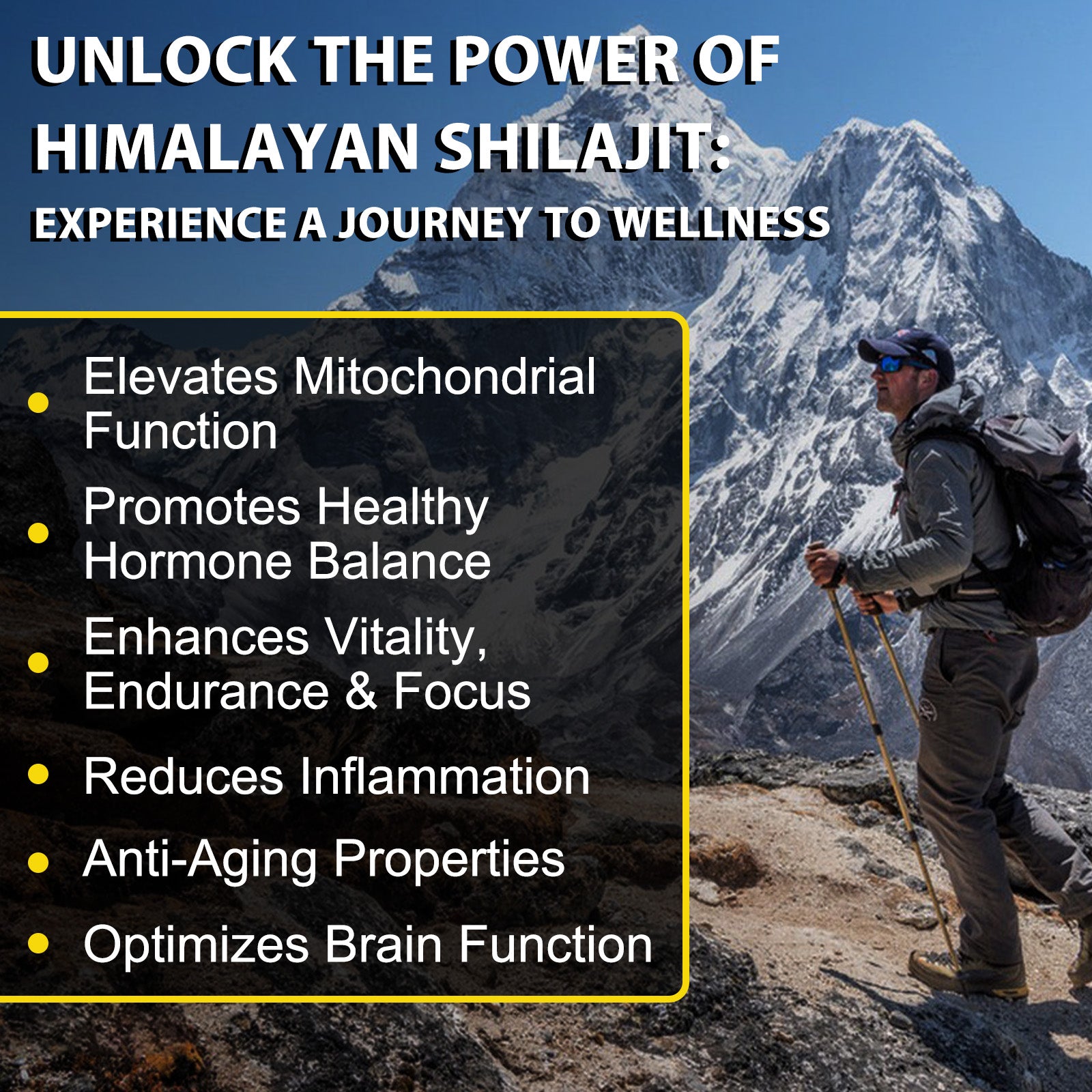 acentiallabs Shilajit FROM HIMALAYAS 60 CAPSULES Bottled Capsules